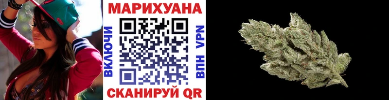 Марихуана сатива  Бологое 